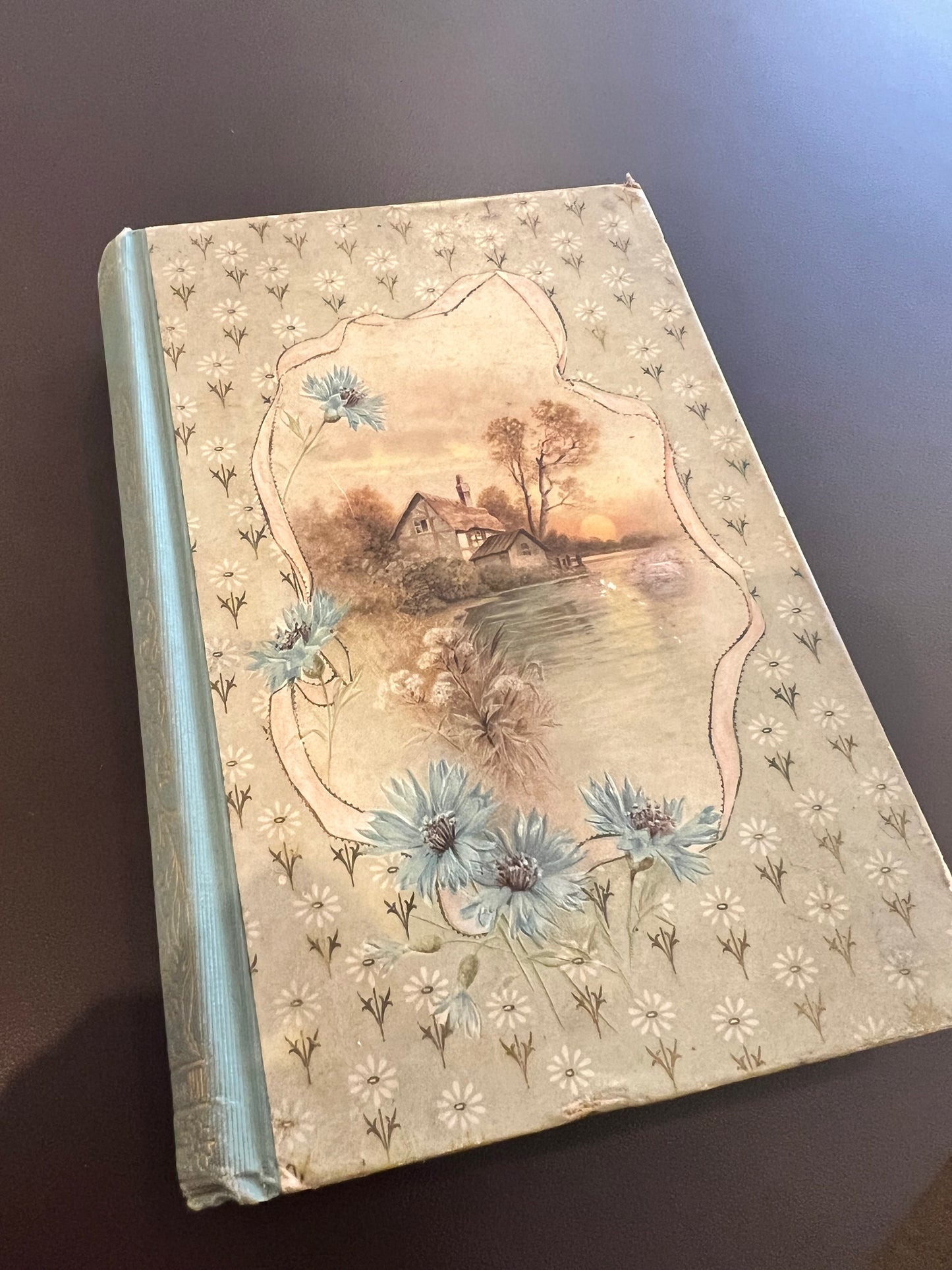 1902 Lucile Meredith Book