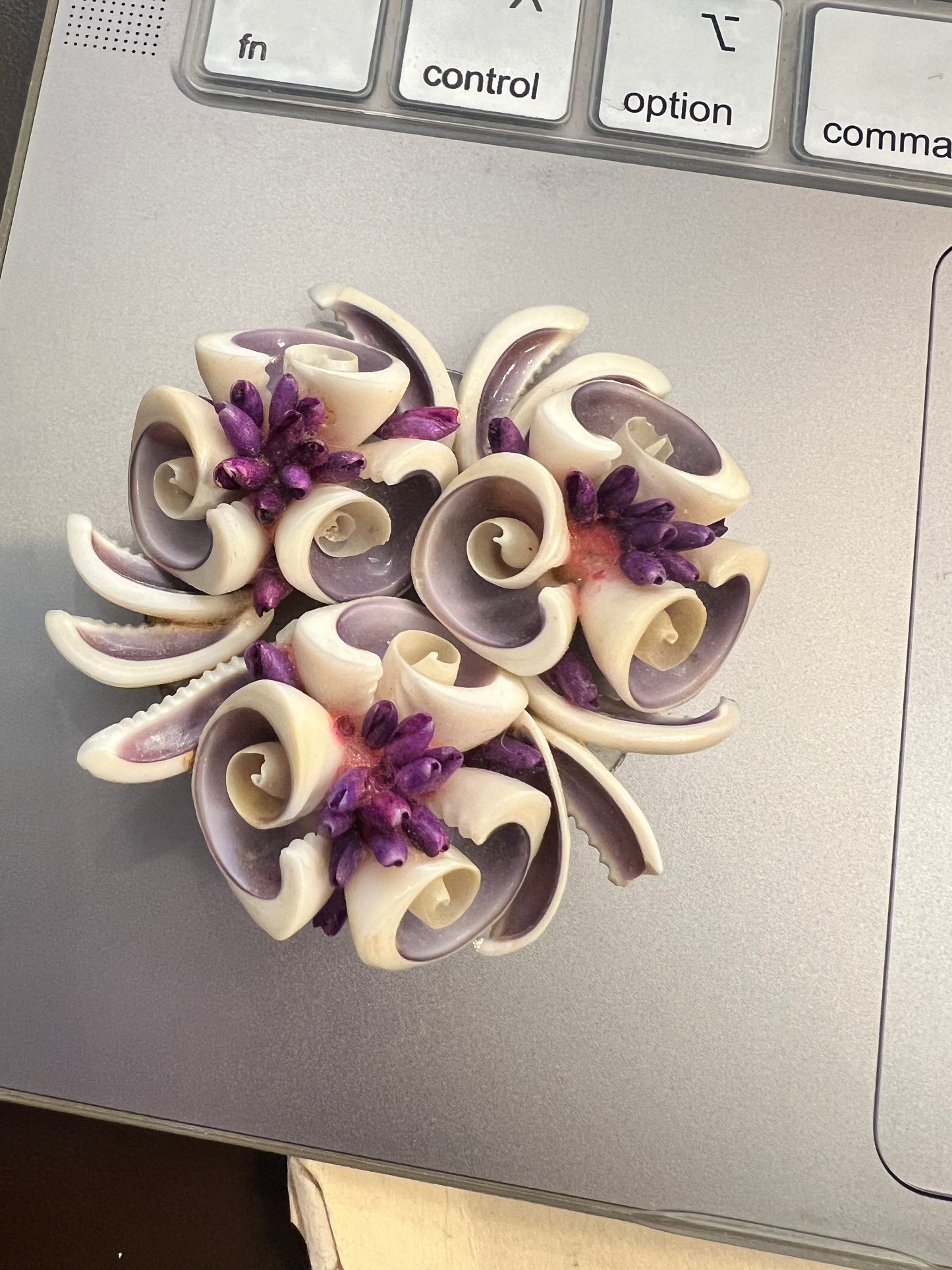 Vintage Seashell Brooch